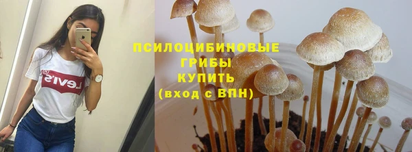 PSILOCYBIN Балахна